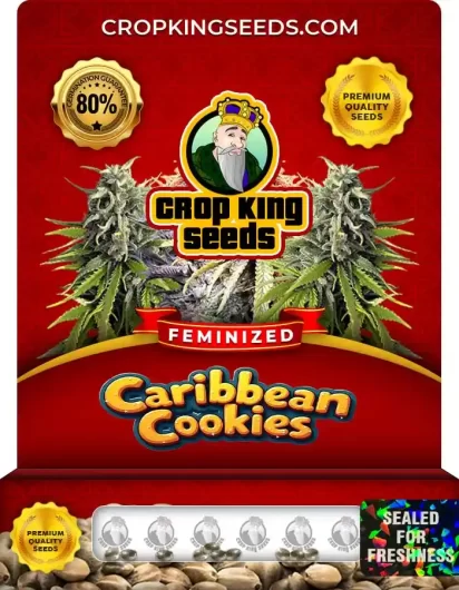 caribbean-cookies-image
