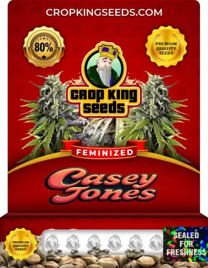 casey-jones-image