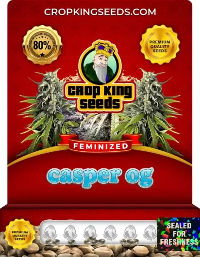 casper-og-image