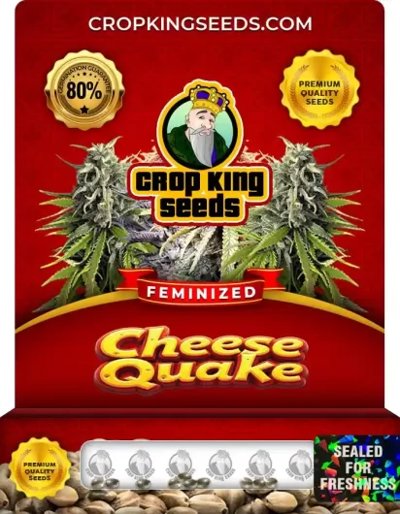 Cheese Quake