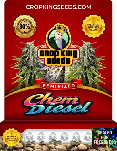 chem-diesel-image