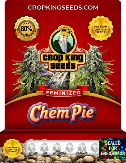 chem-pie-image