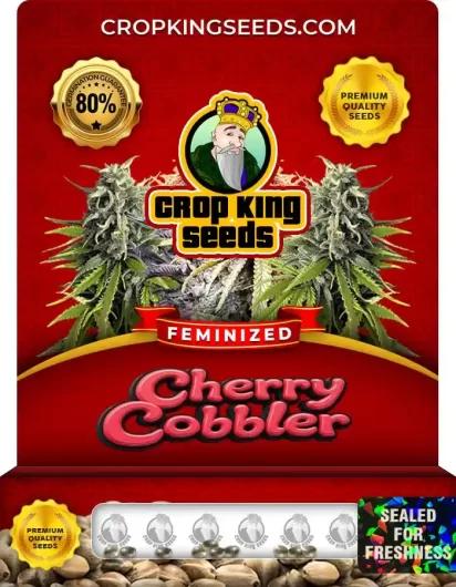 cherry-cobbler-image