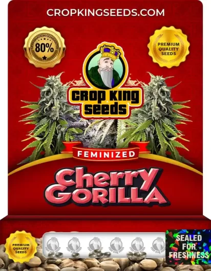 cherry-gorilla-image