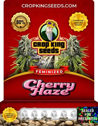 cherry-haze-image
