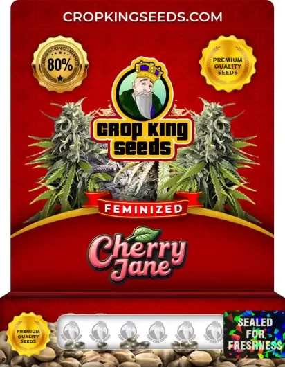 cherry-jane-image