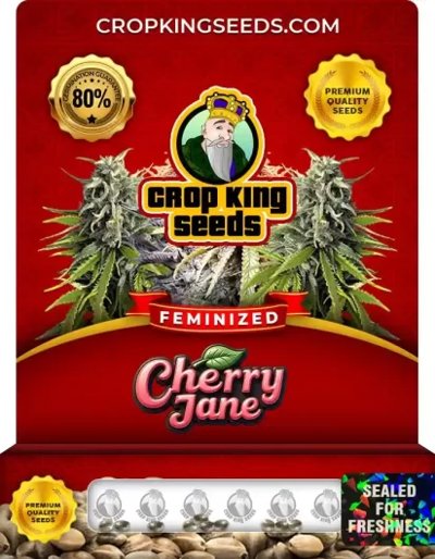 Cherry Jane