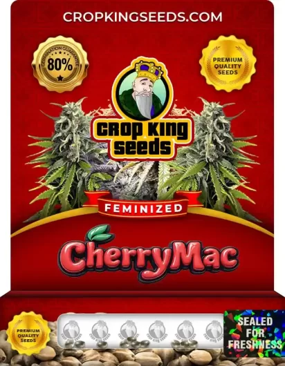 cherry-mac-image