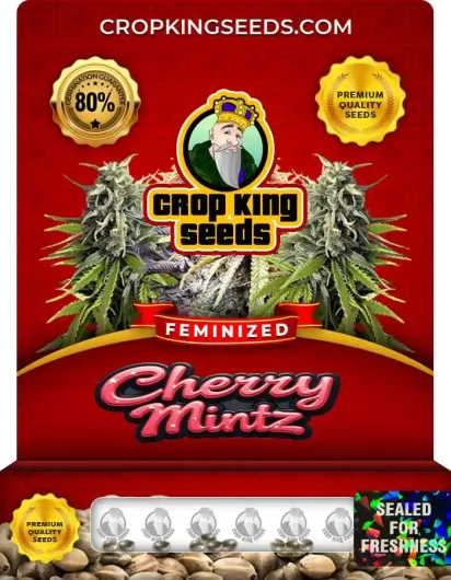 cherry-mintz-image