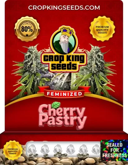 cherry-pastry-image