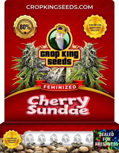 cherry-sundae-image