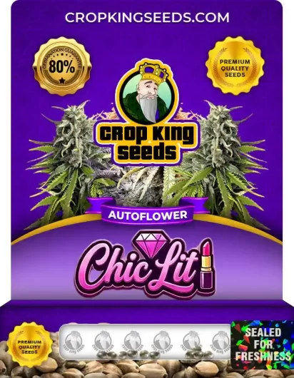 chic-lit-autoflower-image