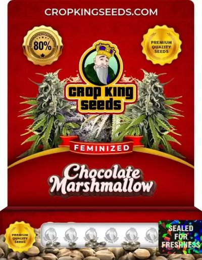 Chocolate Marshmallow
