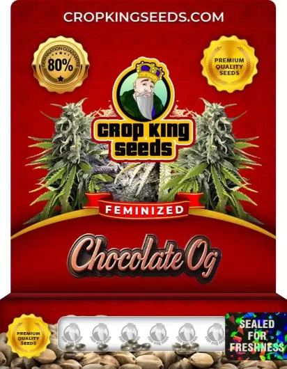 chocolate-og-image