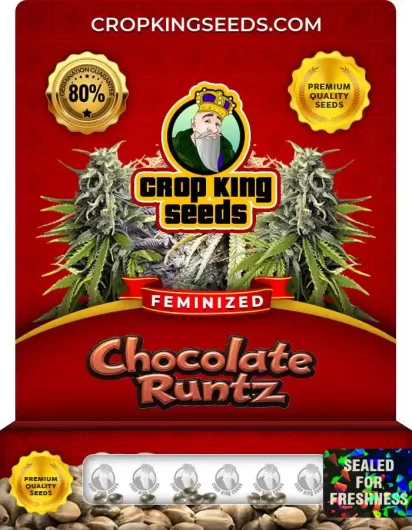 chocolate-runtz-image