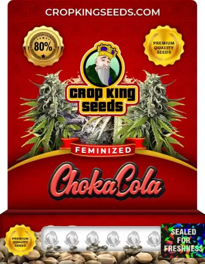 choka-cola-image
