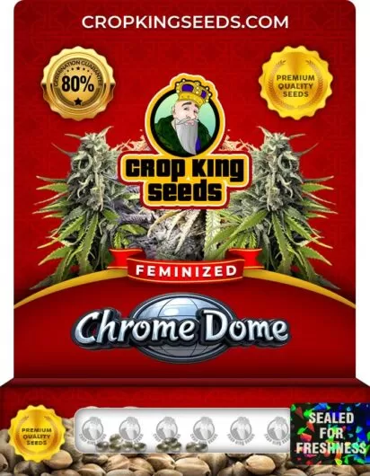 chrome-dome-image