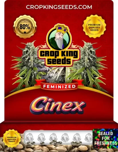 cinex-image