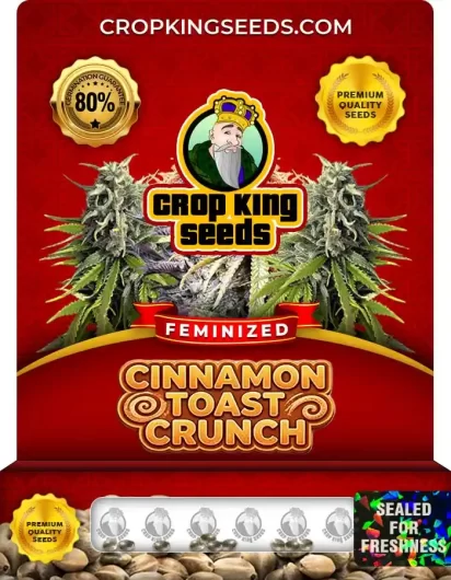 cinnamon-toast-crunch-image