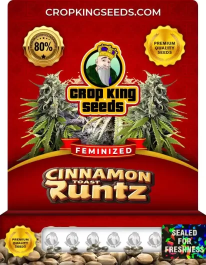 cinnamon-toast-runtz-image