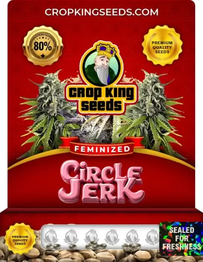circle-jerk-image