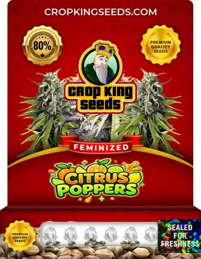 citrus-poppers-image