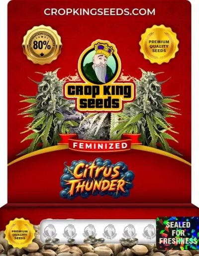 Citrus Thunder