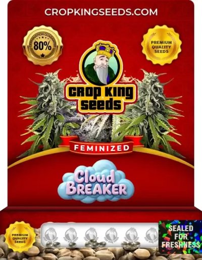 Cloud Breaker