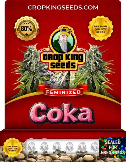 coka-image
