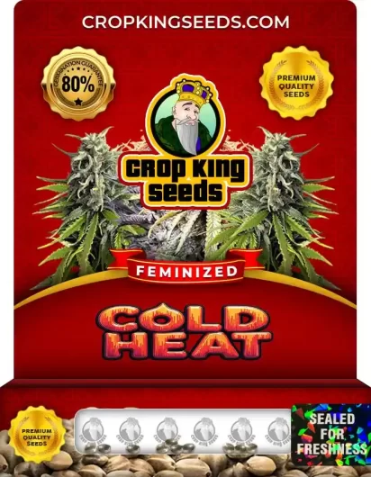 cold-heat-image