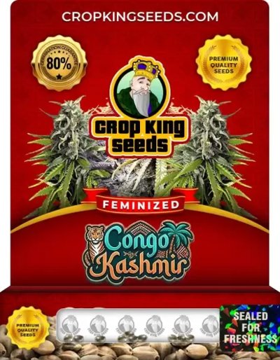 Congo Kashmir