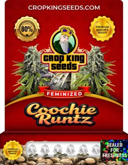 coochie-runtz-image