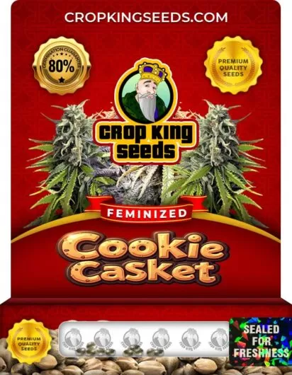 cookie-casket-image