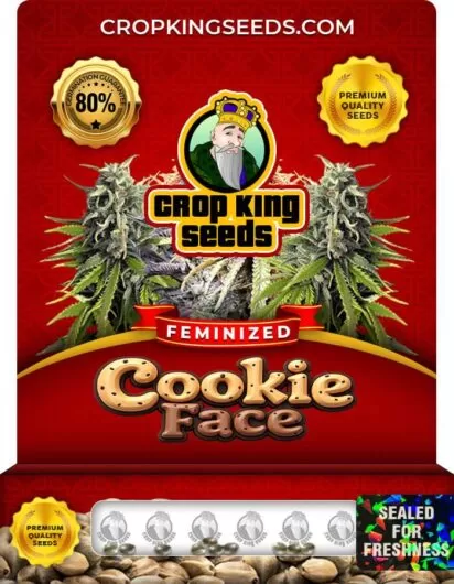 cookie-face-image