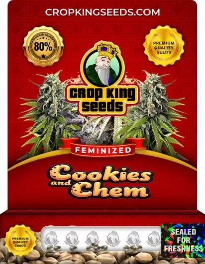 cookies-and-chem-image