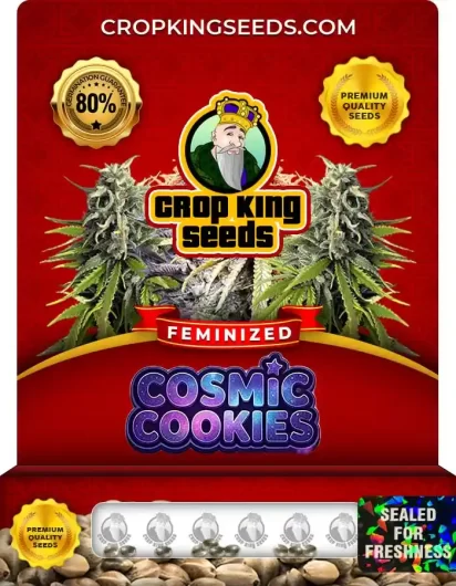 cosmic-cookies-image