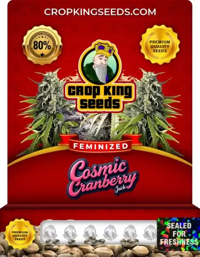 cosmic-cranberry-jack-image