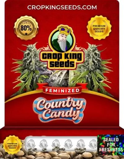 Country Candy Hybrid