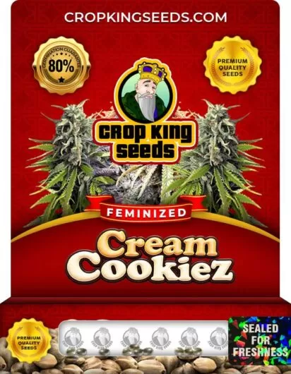 cream-cookiez-image
