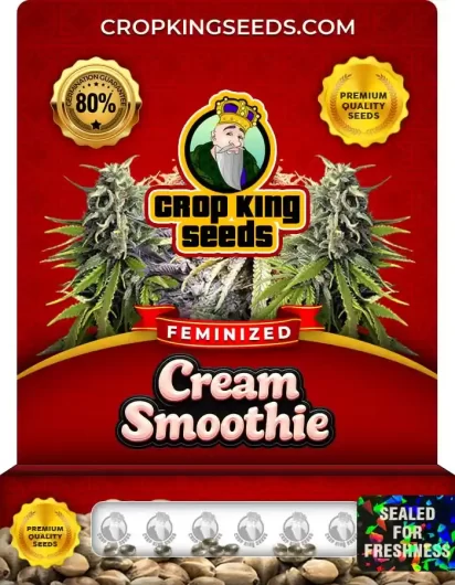 cream-smoothie-image