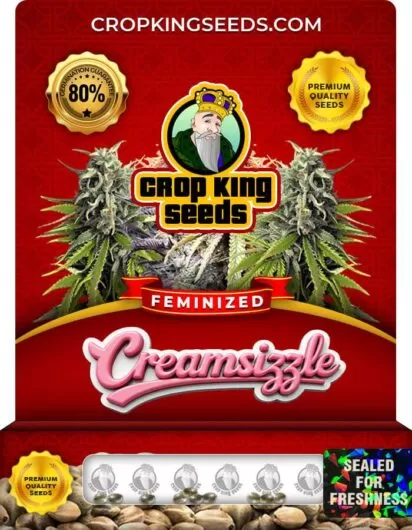 creamsizzle-image