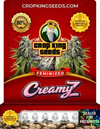 creamy-z-image