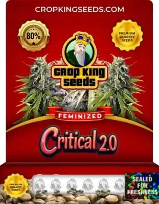 Critical 2.0
