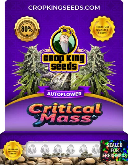 critical-mass-autoflower-image