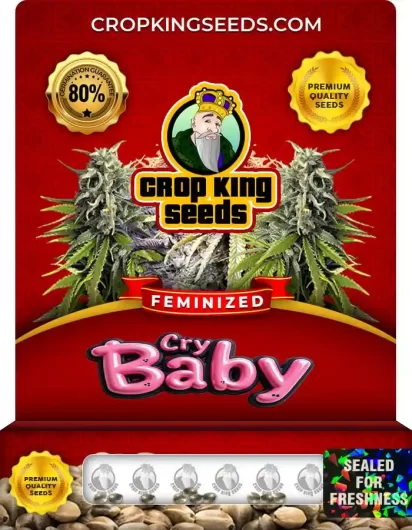 cry-baby-image