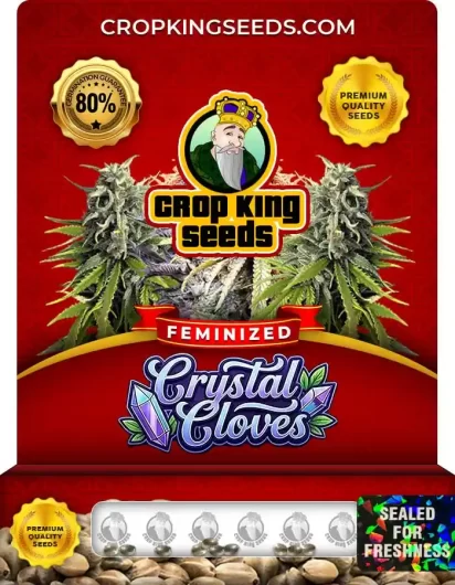 crystal-cloves-image