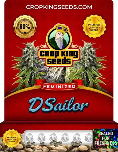 d-sailor-image