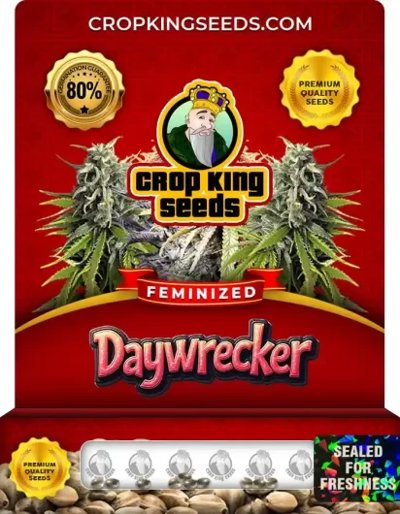 Daywrecker