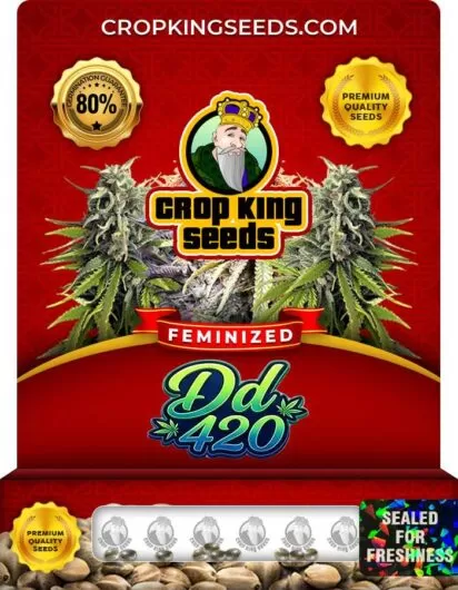 dd-420-image