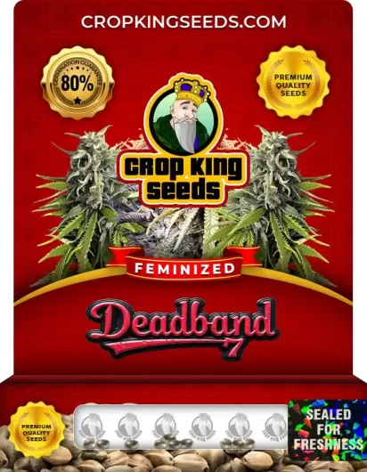 deadband-7-image